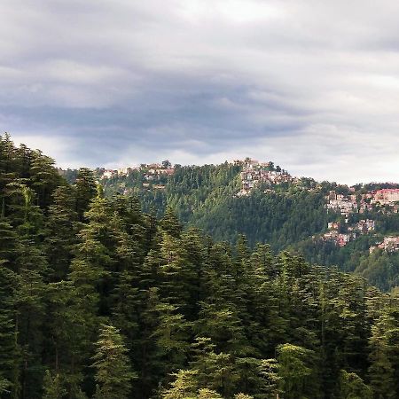 Neha Homestay Shimla Esterno foto