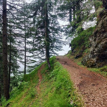 Neha Homestay Shimla Esterno foto