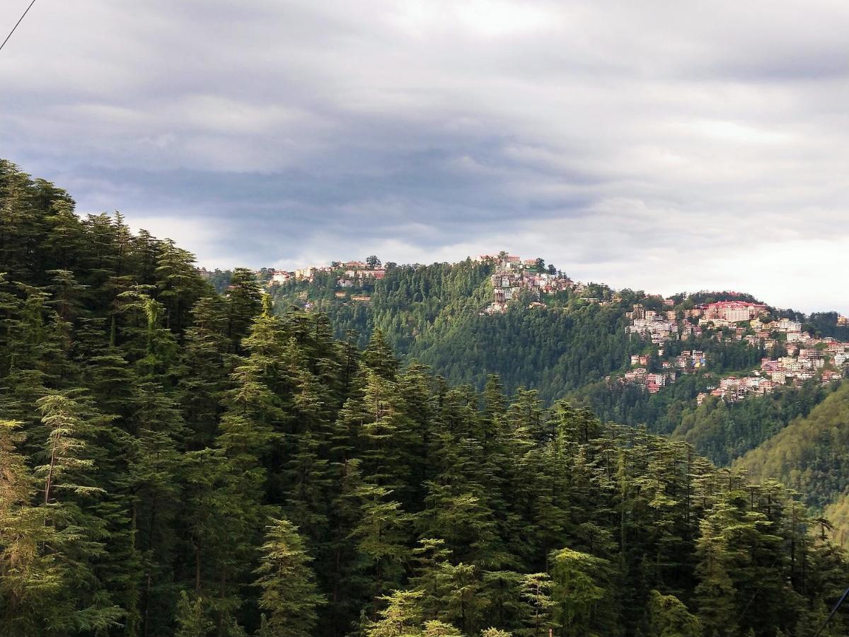 Neha Homestay Shimla Esterno foto