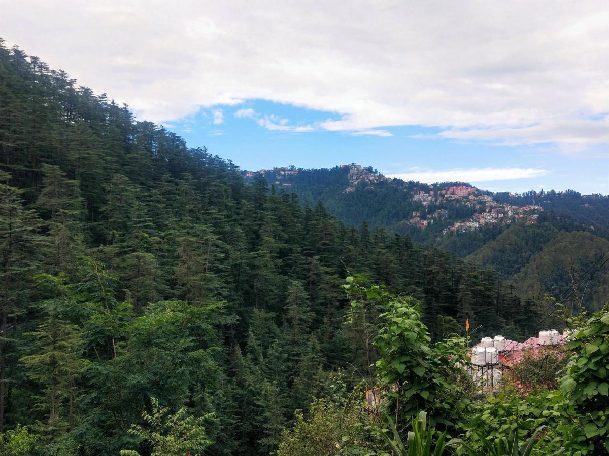 Neha Homestay Shimla Esterno foto