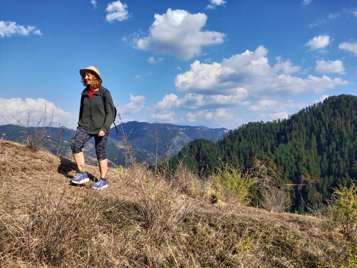 Neha Homestay Shimla Esterno foto
