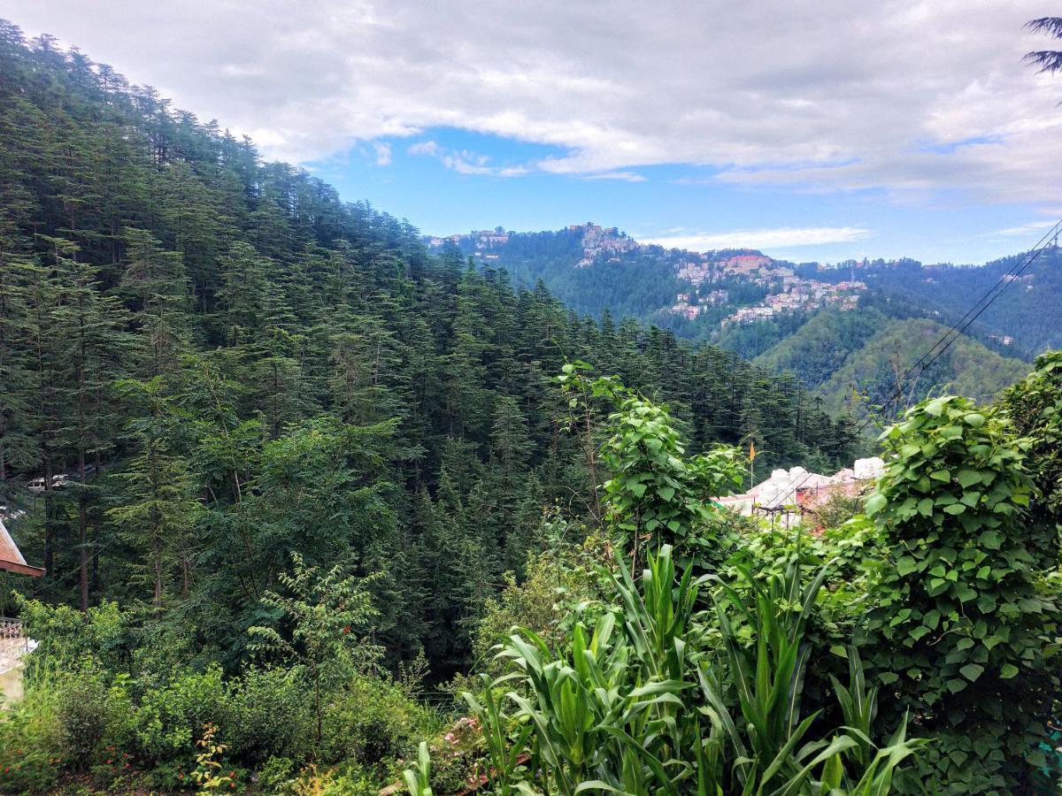 Neha Homestay Shimla Esterno foto