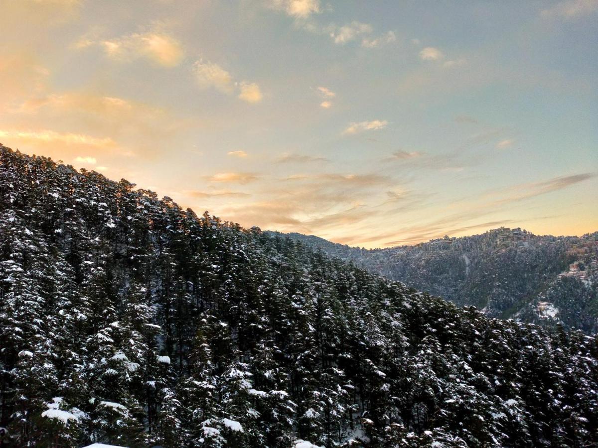 Neha Homestay Shimla Esterno foto