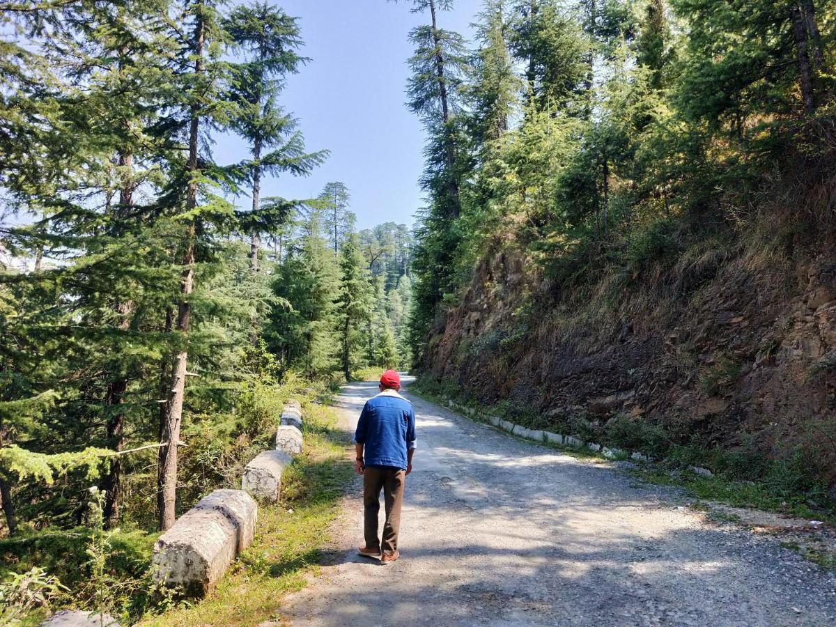 Neha Homestay Shimla Esterno foto