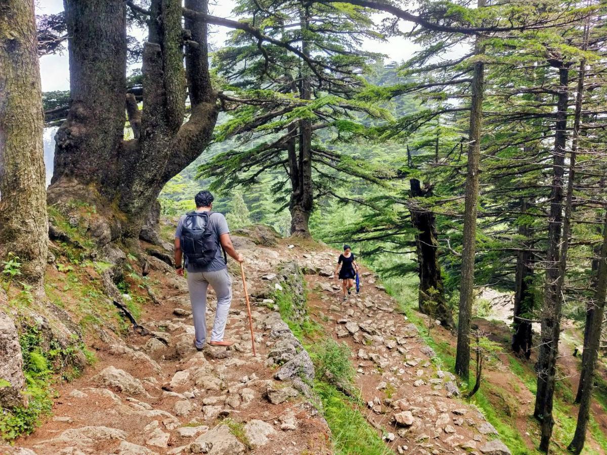 Neha Homestay Shimla Esterno foto