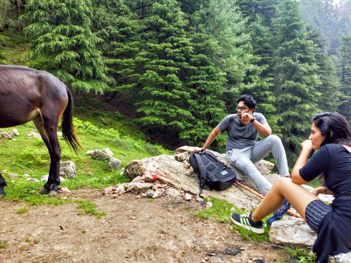 Neha Homestay Shimla Esterno foto
