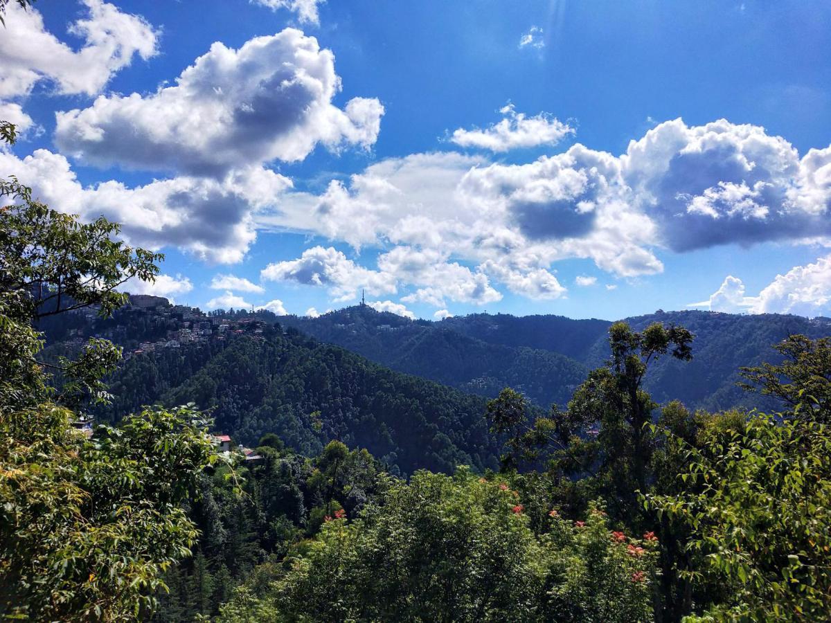 Neha Homestay Shimla Esterno foto