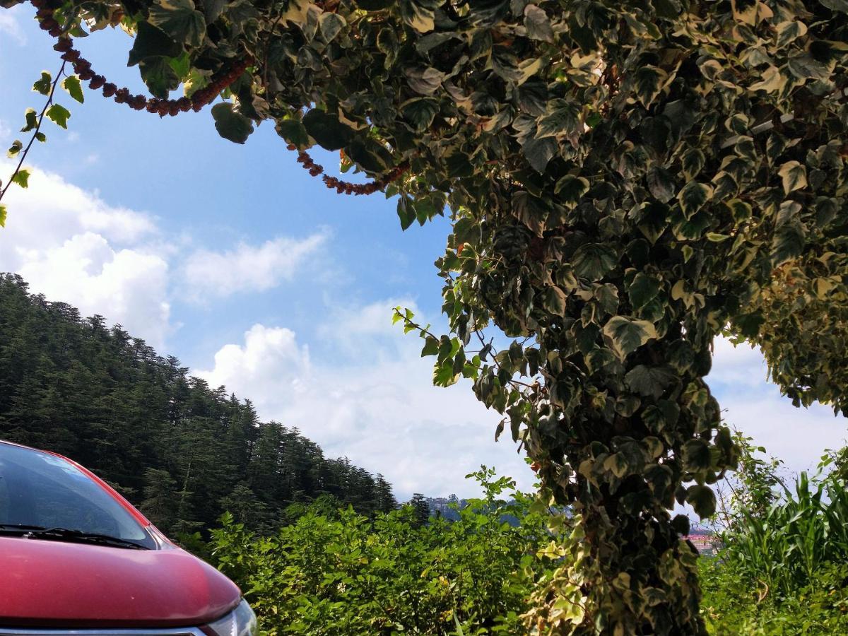 Neha Homestay Shimla Esterno foto