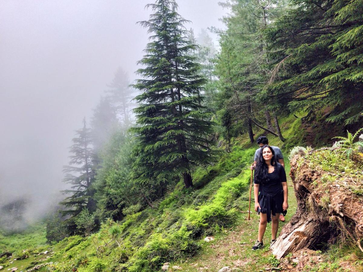 Neha Homestay Shimla Esterno foto