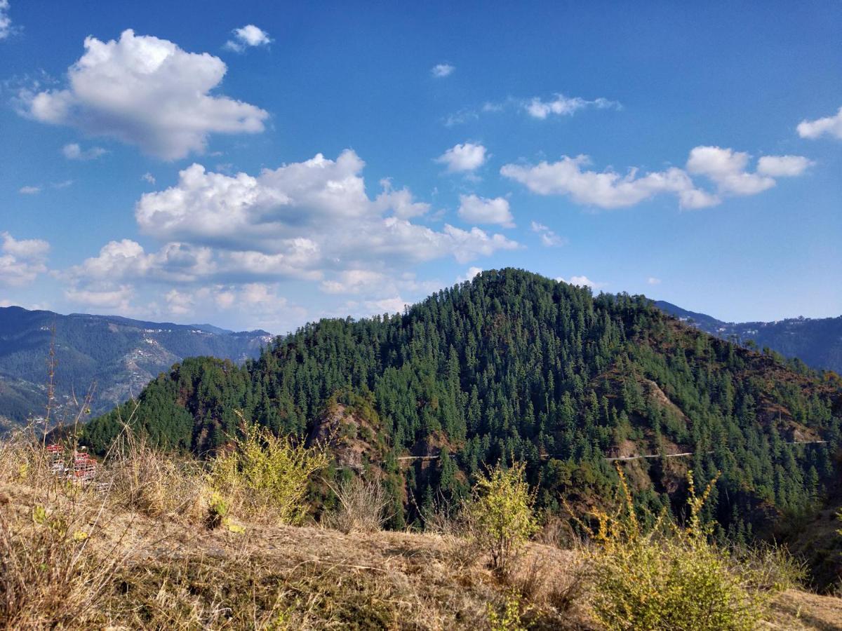 Neha Homestay Shimla Esterno foto