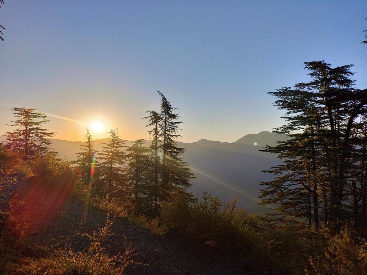 Neha Homestay Shimla Esterno foto