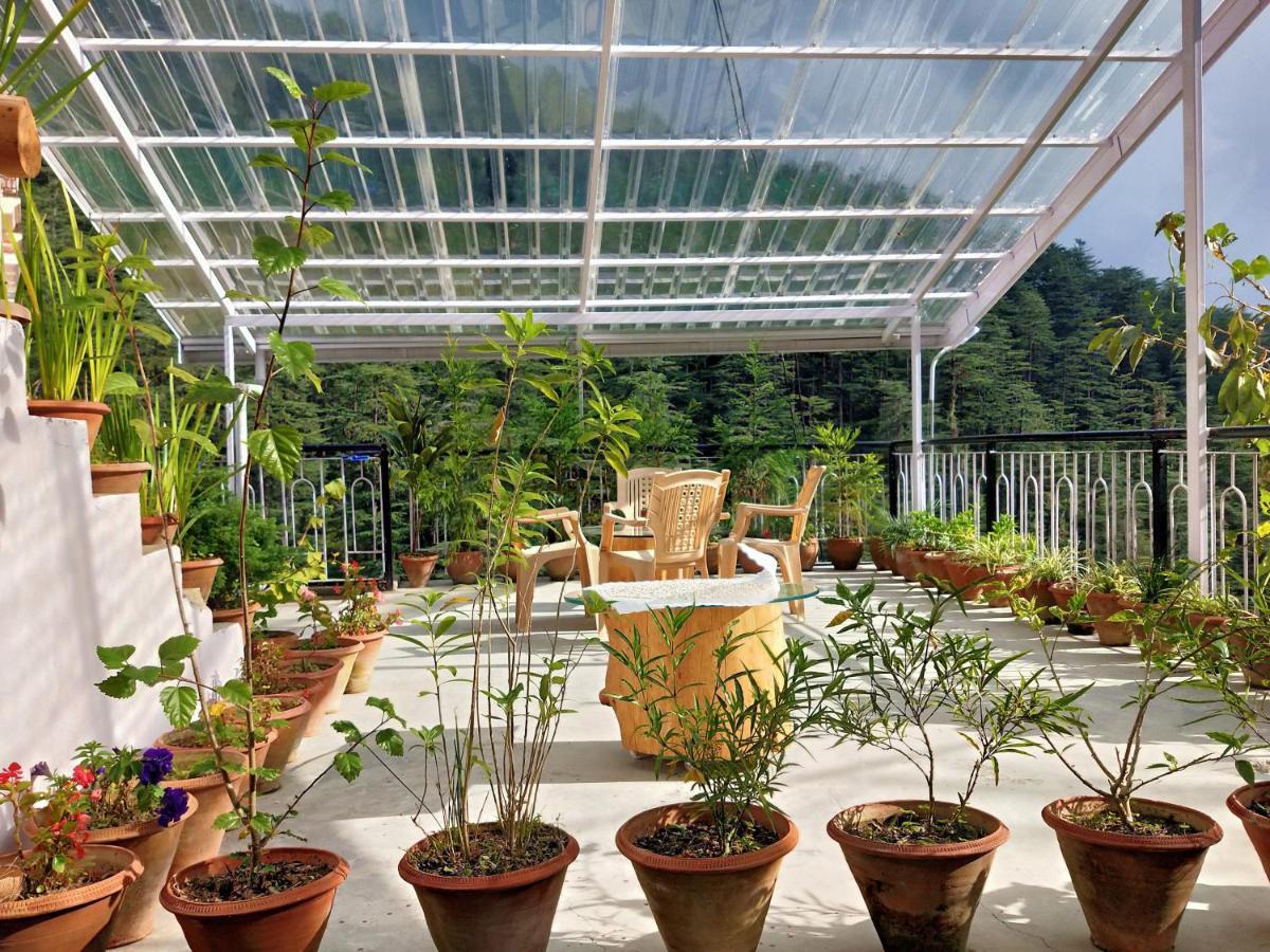 Neha Homestay Shimla Esterno foto