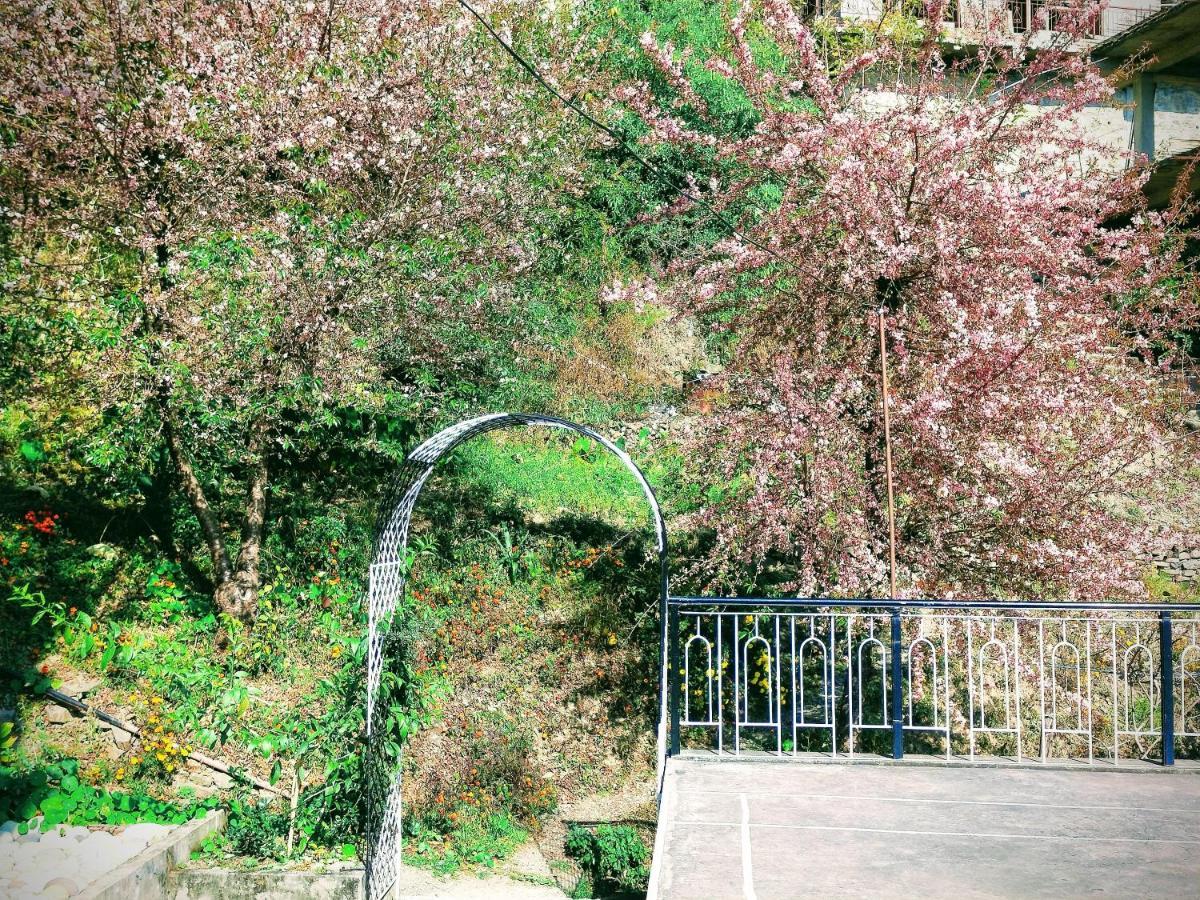 Neha Homestay Shimla Esterno foto