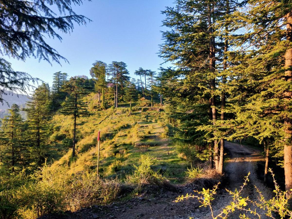Neha Homestay Shimla Esterno foto