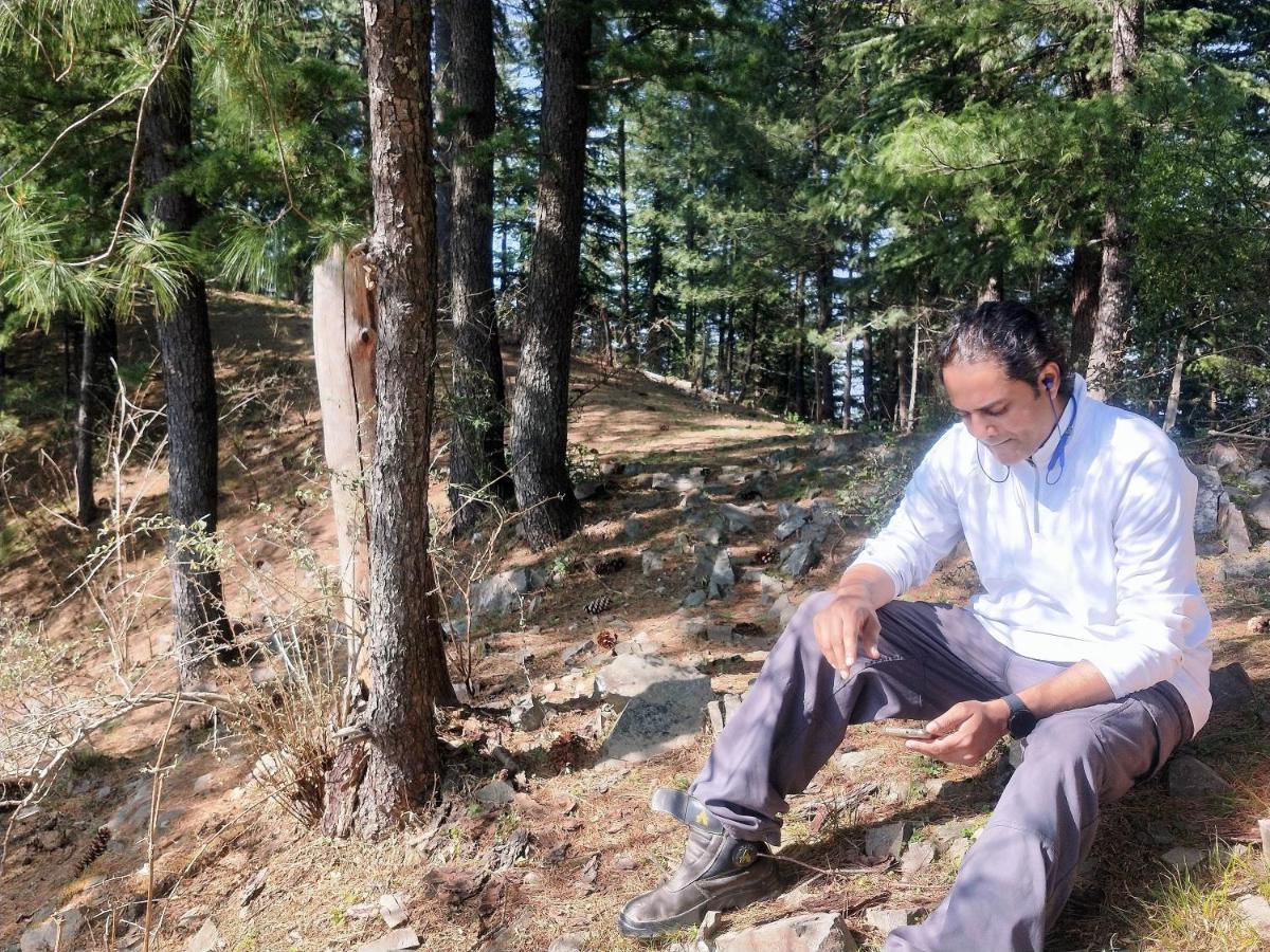 Neha Homestay Shimla Esterno foto