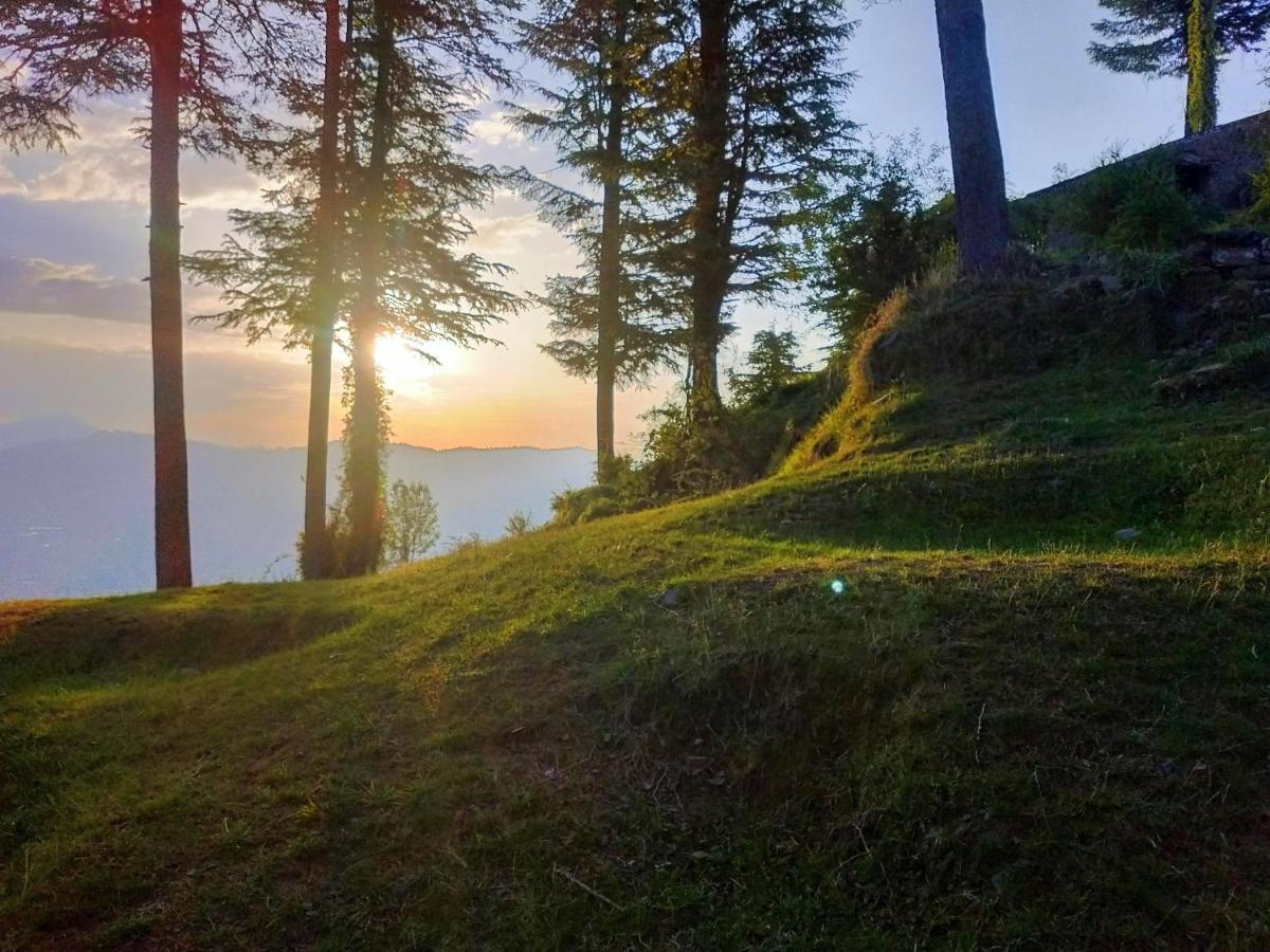 Neha Homestay Shimla Esterno foto