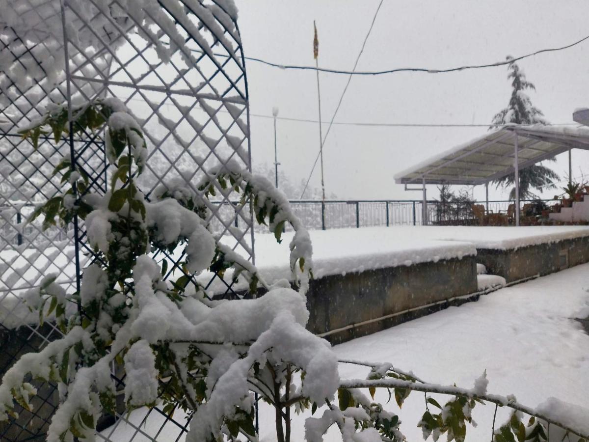 Neha Homestay Shimla Esterno foto