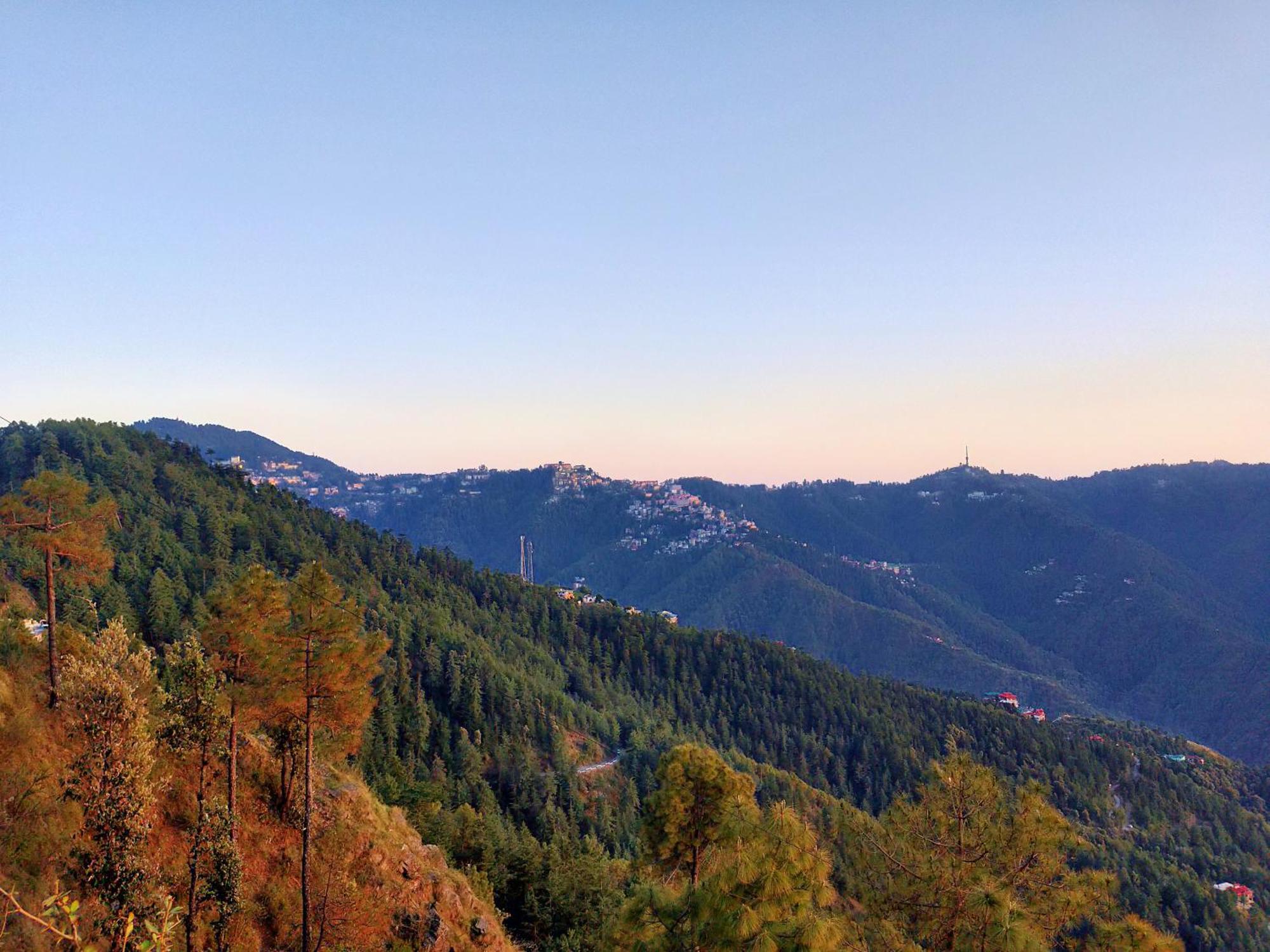 Neha Homestay Shimla Esterno foto