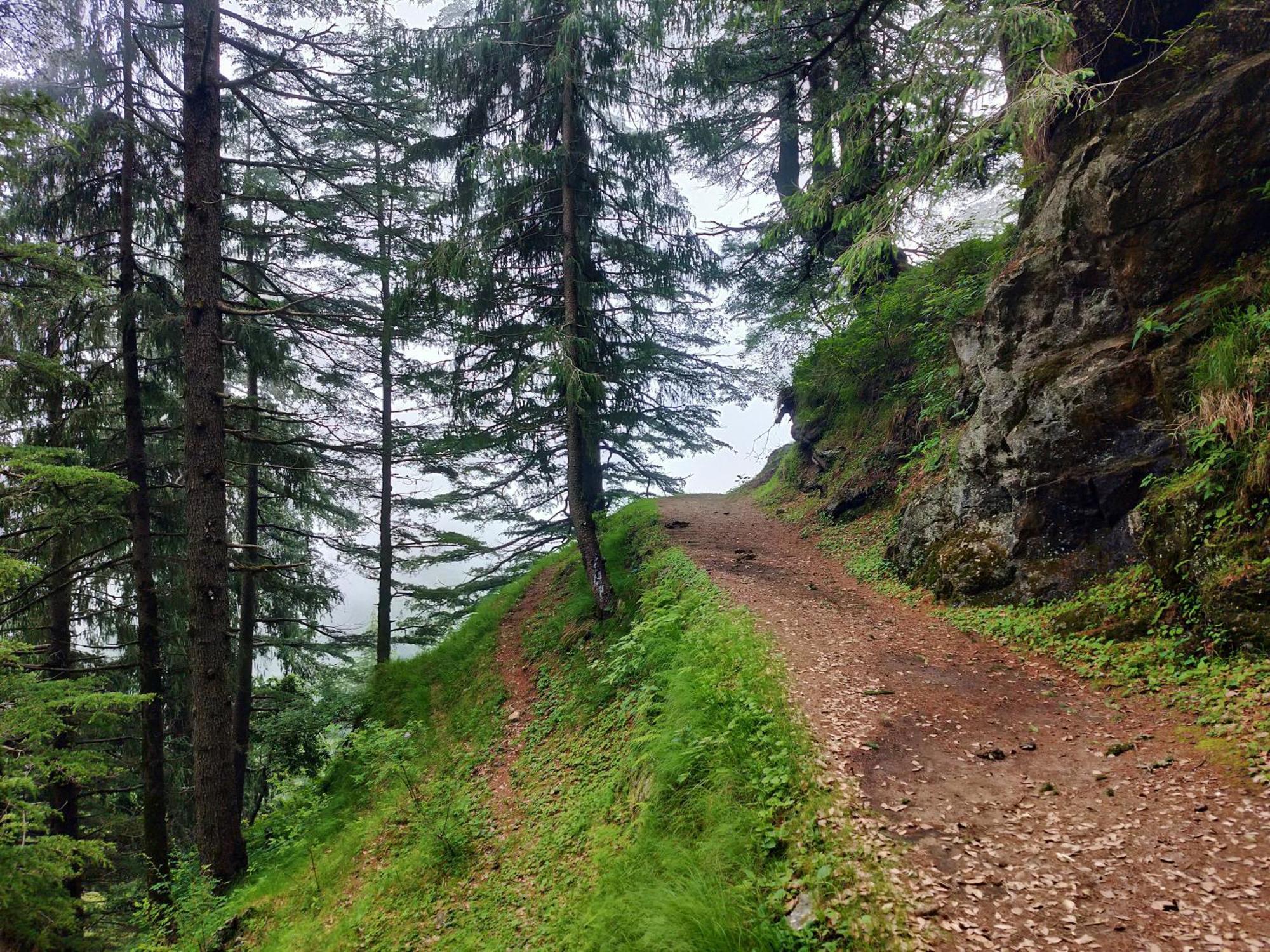 Neha Homestay Shimla Esterno foto
