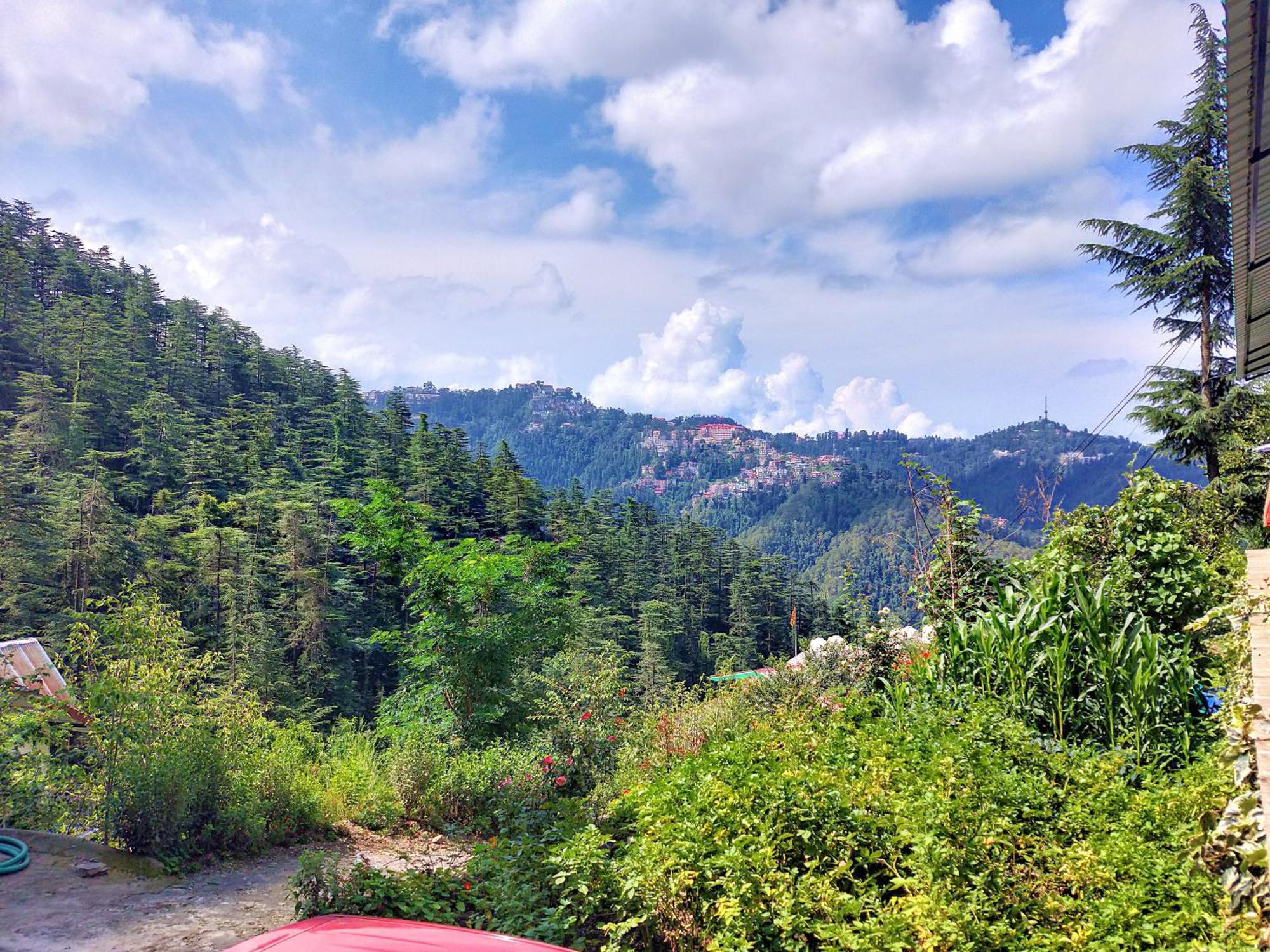 Neha Homestay Shimla Esterno foto